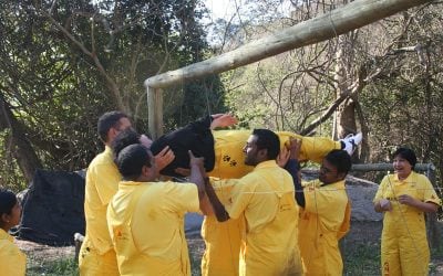 How Team Building Activities Build Strong Collaboration Skills