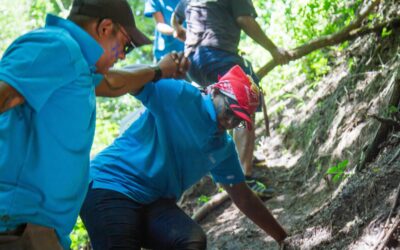 The Importance of Trust in Teams