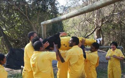 How Team Building Activities Build Strong Collaboration Skills